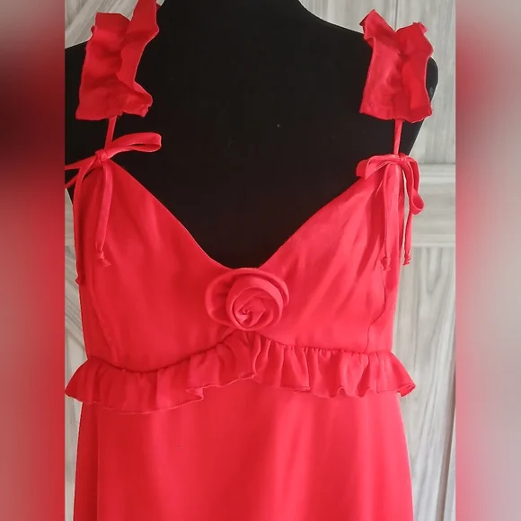 Wild Fable Red Dress with Rosette and Bow Accents - Picture 2 of 9